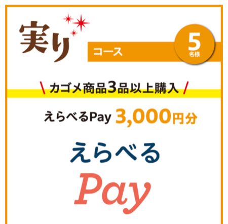 えらべるPay最大1万円分２