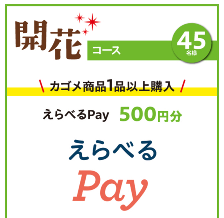 えらべるPay最大1万円分３
