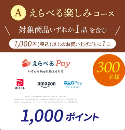 えらべるPay1,000円分、レコルト自動調理ポット1