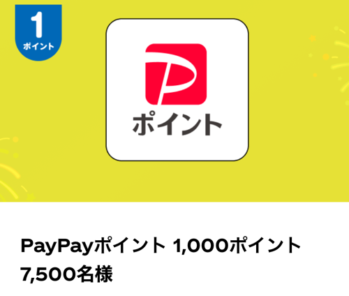 PayPayポイント1,000円分