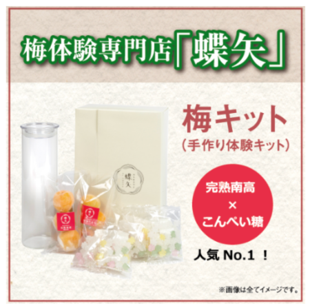 梅キット