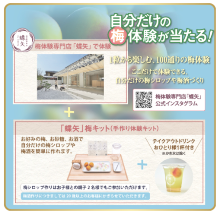 自分だけの梅体験