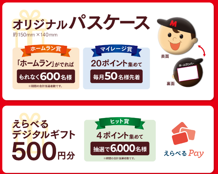 オリジナルパスケース、えらべるPay500円分
