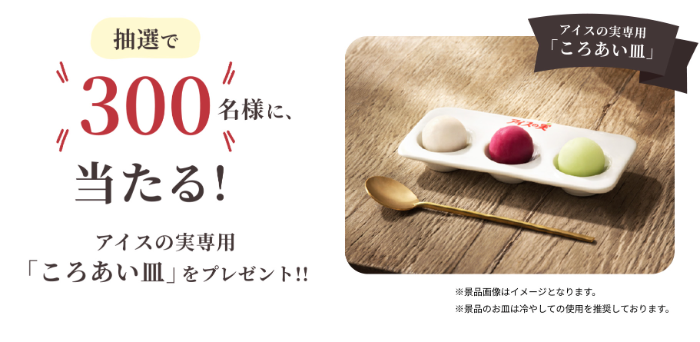 アイスの実専用「ころあい皿」