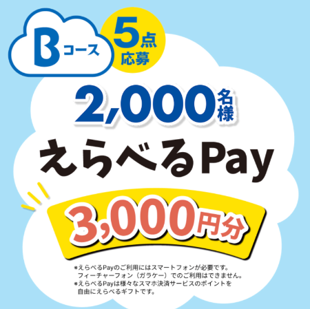 えらべるPay3,000円分
