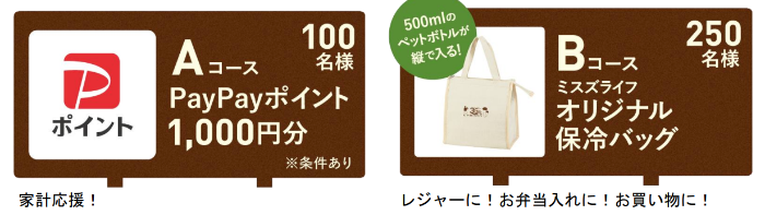 PayPayポイント1,000円分、オリジナル保冷バッグ