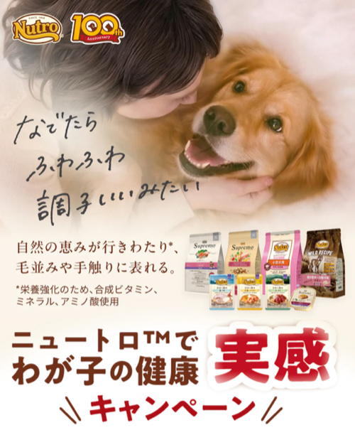 ニュートロ ニュートロでわが子の健康実感キャンペーン