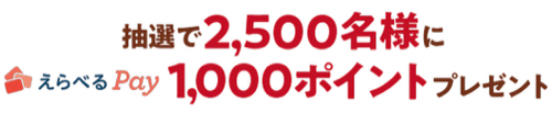 えらべるPay 1,000ポイント