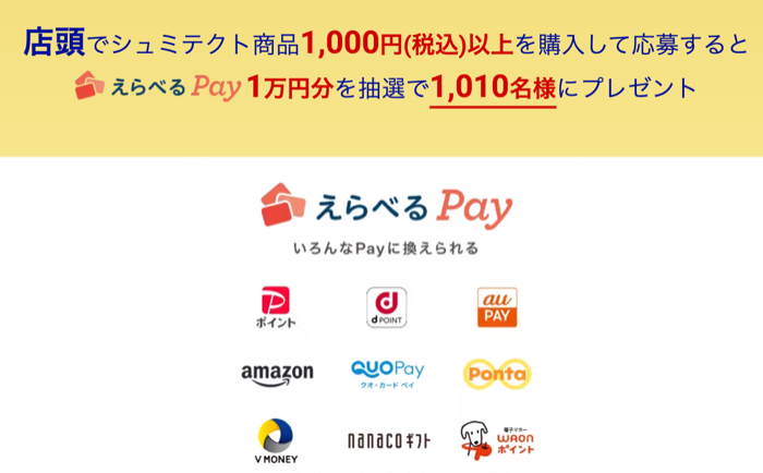えらべるPay1万円分