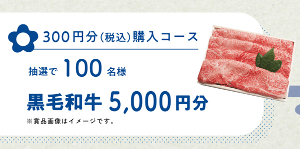 黒毛和牛、QUOカード500円分１