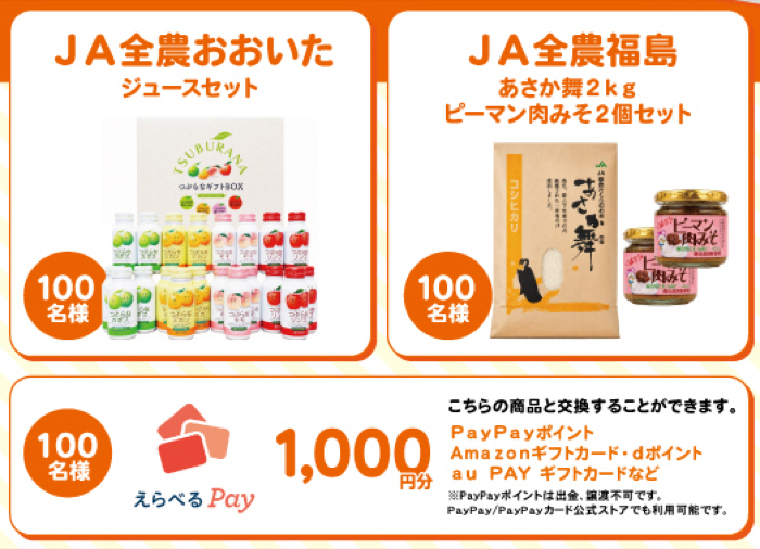 えらべるPay 1,000ポイント、お米+肉みそセットなど