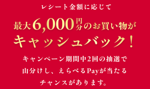 レシート金額分のえらべるPay最大6,000円分