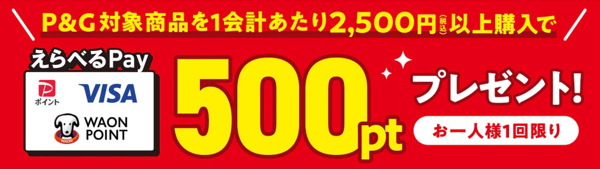 えらべるPay500ポイント