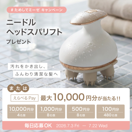 えらべるPay最大1万円分、ニードルヘッドスパリフトがその場で当たるXキャンペーン
