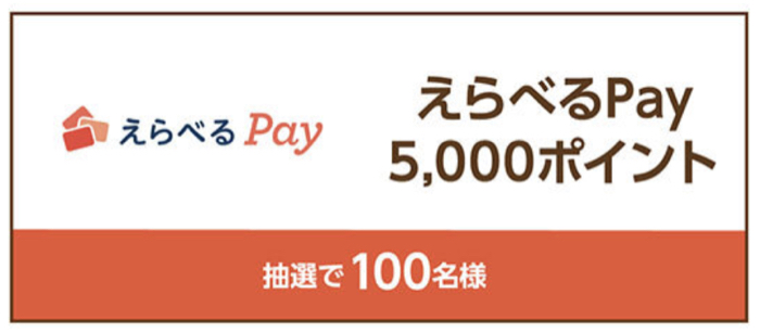 えらべるPay5,000ポイント