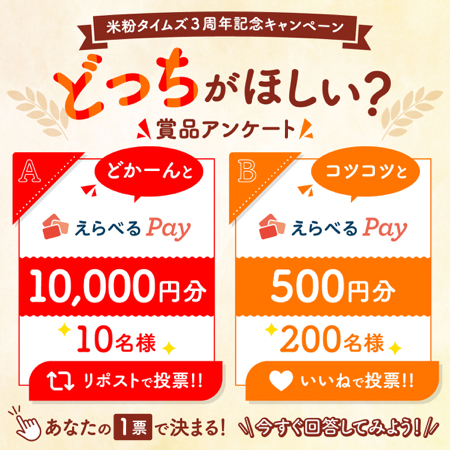 えらべるPay最大1万円分が当たるXキャンペーン