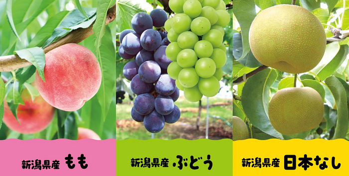 新潟県産フルーツ 対象商品