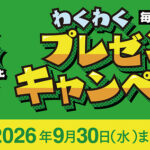 マルカ 花火 わくわくプレゼントキャンペーン