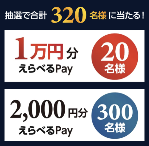 えらべるPay最大1万円分