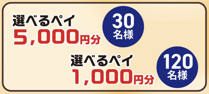 選べるペイPay5,000円分
