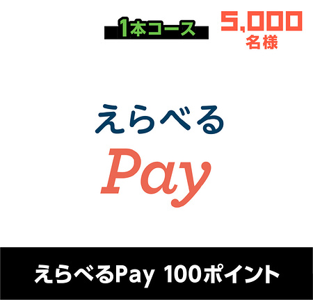 マインクラフトグッズ、えらべるPay100ポイント１