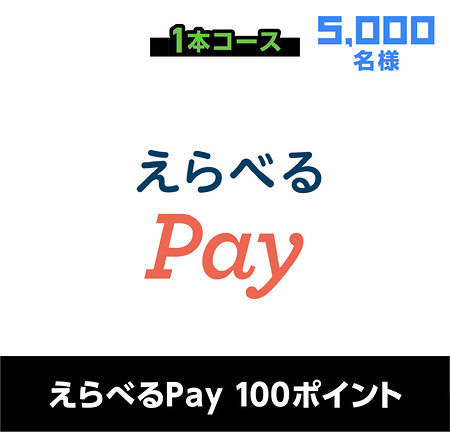 マインクラフトグッズ、えらべるPay100ポイント１