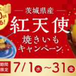 バロー×紅天使 焼き芋 抽選でルビットポイントが当たる!紅天使 焼き芋・冷やし焼き芋キャンペーン