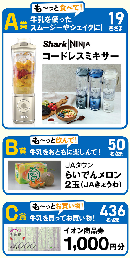 コードレスミキサー、メロン2玉、イオン商品券1,000円分