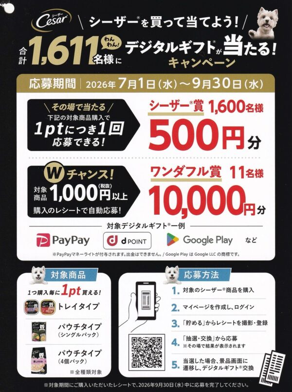 シーザー デジタルギフトプレゼントキャンペーン 懸賞チラシ
