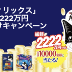 ネスレ ピュリナ フィリックス フィリックス 総額2222万円 山分けキャンペーン