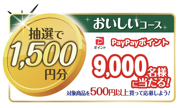 PayPayポイント最大1万円分１