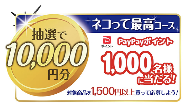 PayPayポイント最大1万円分２