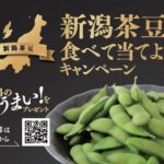 JA全農にいがた 新潟茶豆を食べて当てよう！キャンペーン