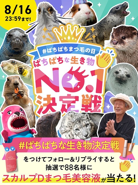 スカルプD まつ毛美容液が当たるXキャンペーン
