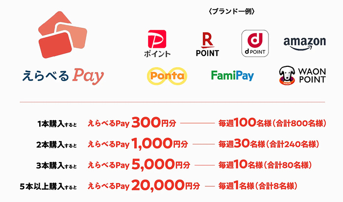 えらべるPay最大2万円分