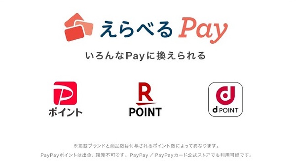 えらべるPay 300ポイント