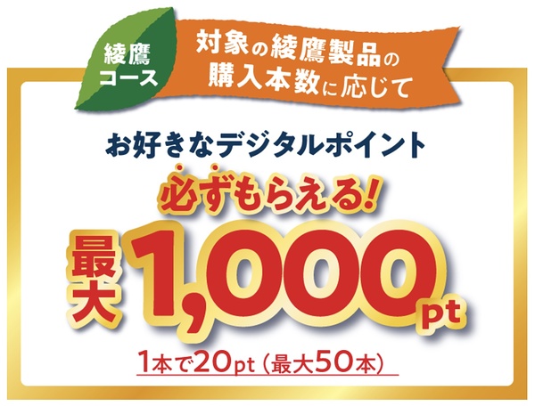 お好きなデジタルポイント最大1,000pt