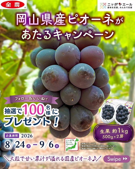 岡山県産 ピオーネ ブドウ 1kgが当たるInstagramキャンペーン