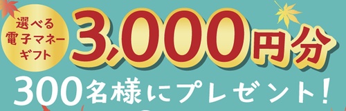 選べる電子マネーギフト3,000円分、熟成布巻きロースハム1
