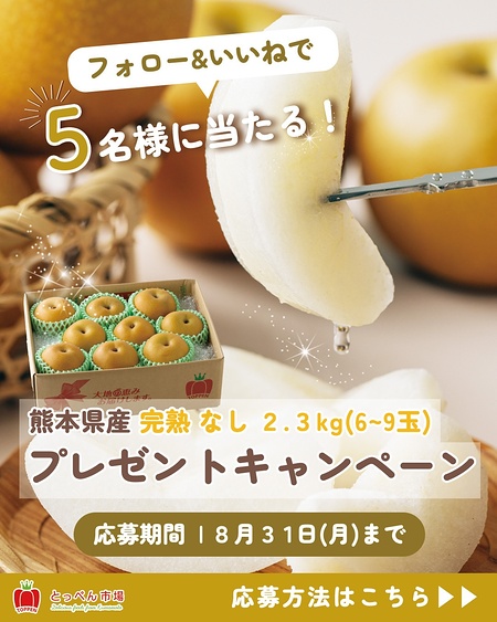 熊本県産 完熟梨 2.3kgが当たるInstagramキャンペーン
