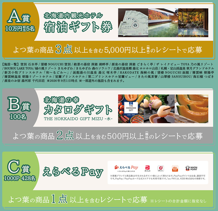 北海道 宿泊ギフト券10万円、カタログギフト、えらべるPay 1,000ポイント