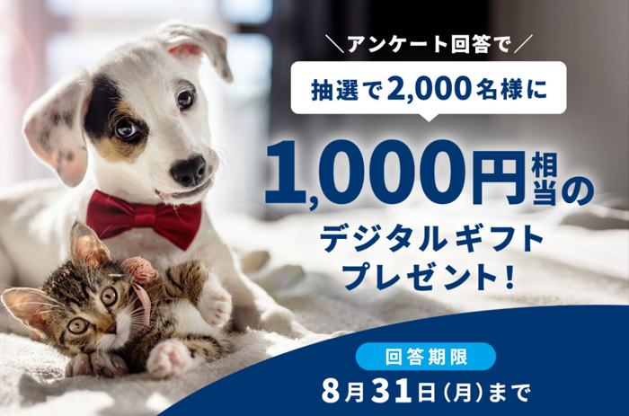 デジタルギフトが当たるキャンペーン