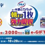 白十字 サルバ あて楽尿とりパッド朝まで1枚強力吸収 e-GIFTプレゼントキャンペーン