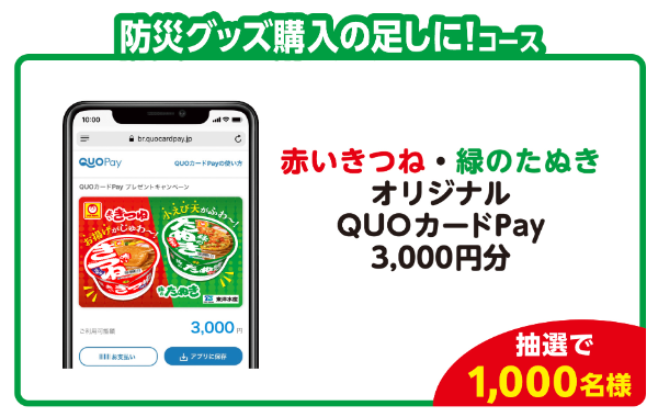 赤いきつね・緑のたぬきオリジナルQUOカードPay 3,000円分