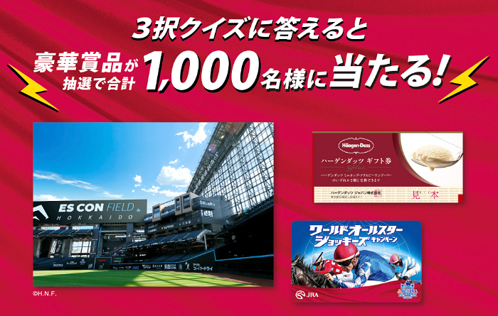 PayPayポイント500円、ハーゲンダッツ ギフト券など