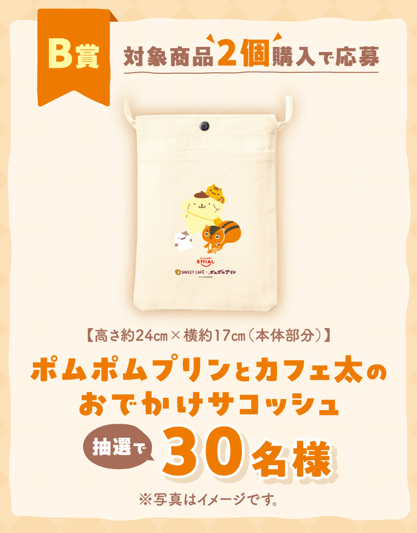 カフェ太×ポムポムプリン クッション、サコッシュ、QUOカードPay500円２