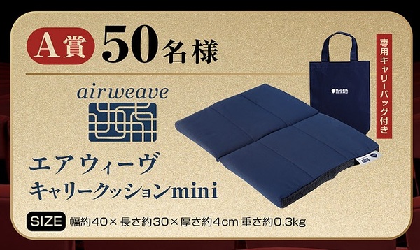 エアウィーヴ キャリークッションmini