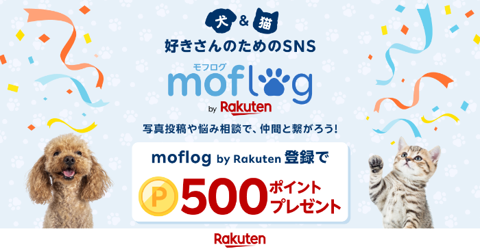 楽天 moflog(モフログ) 新規登録で楽天ポイントプレゼント